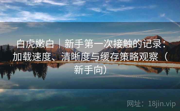 白虎嫩白｜新手第一次接触的记录：加载速度、清晰度与缓存策略观察（新手向）