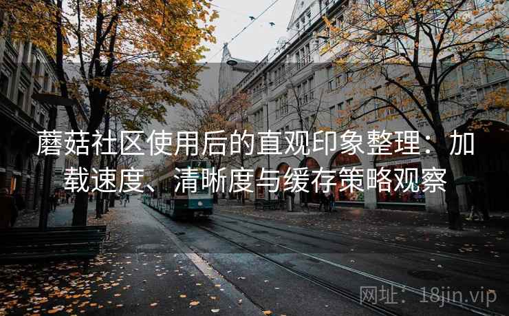蘑菇社区使用后的直观印象整理：加载速度、清晰度与缓存策略观察