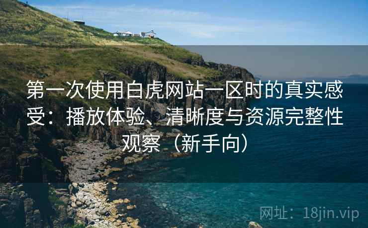第一次使用白虎网站一区时的真实感受：播放体验、清晰度与资源完整性观察（新手向）