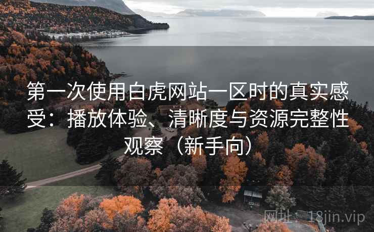 第一次使用白虎网站一区时的真实感受：播放体验、清晰度与资源完整性观察（新手向）