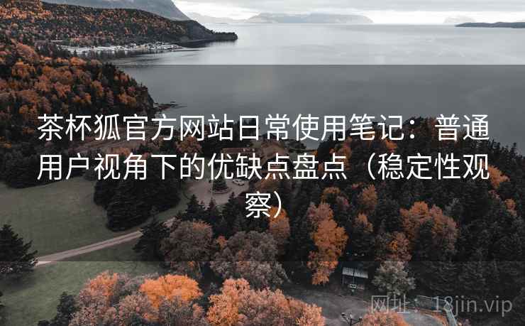 茶杯狐官方网站日常使用笔记：普通用户视角下的优缺点盘点（稳定性观察）