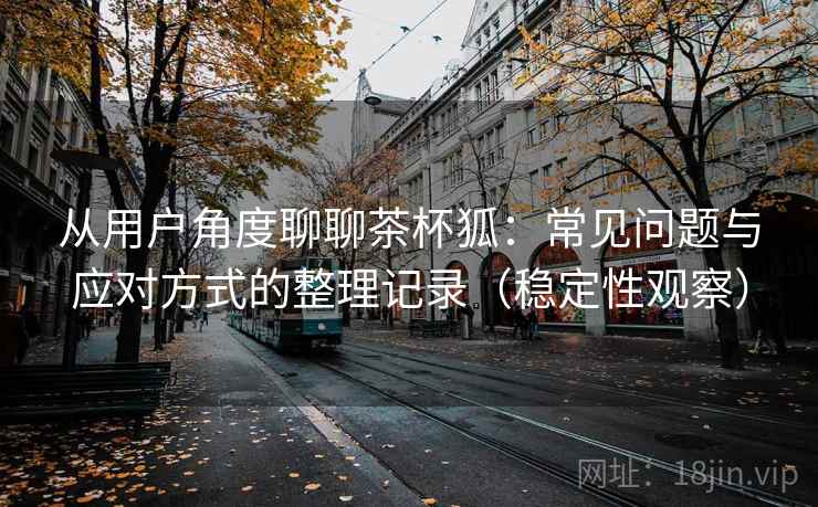 从用户角度聊聊茶杯狐：常见问题与应对方式的整理记录（稳定性观察）