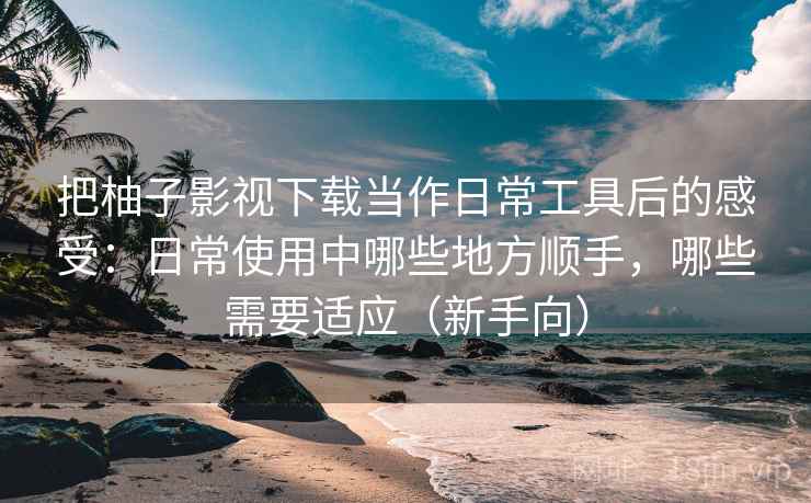 把柚子影视下载当作日常工具后的感受：日常使用中哪些地方顺手，哪些需要适应（新手向）