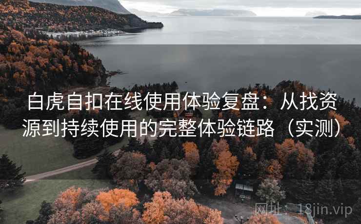白虎自扣在线使用体验复盘：从找资源到持续使用的完整体验链路（实测）